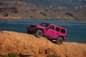 Jeep Wrangler: cor Tuscadero de volta thumbnail